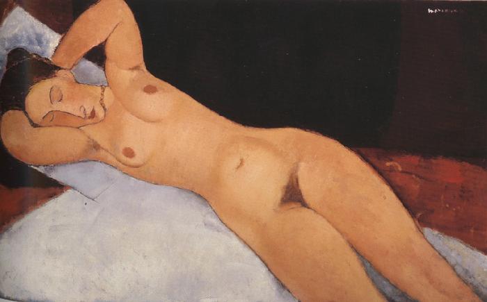 Amedeo Modigliani Nude (mk39) Sweden oil painting art
